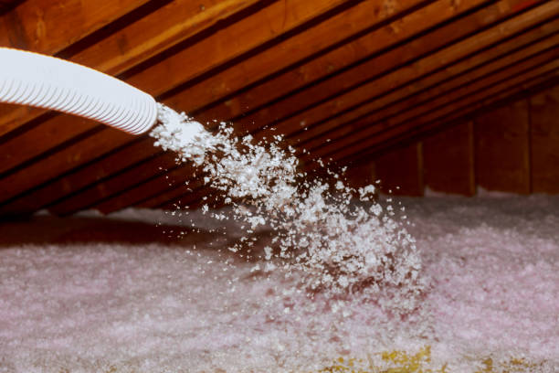 Professional Insulation Contractor in Ventress, LA
