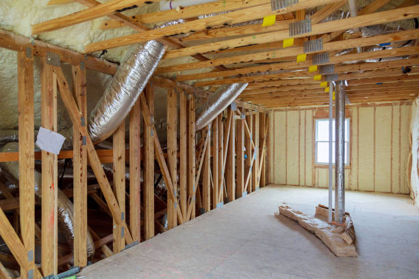 Best Specialized Insulation Services in Ventress, LA