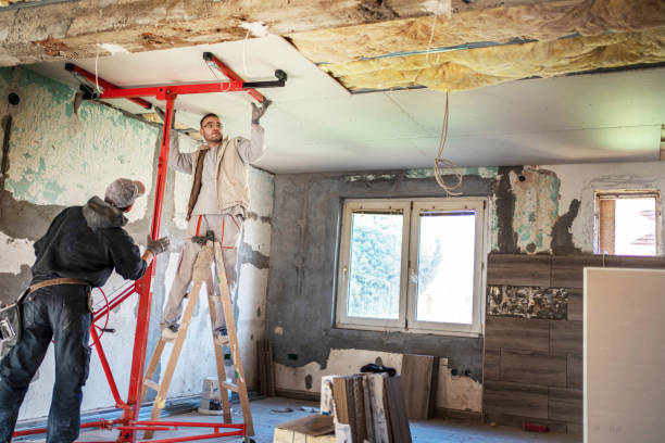Best DIY Insulation Kits and Guidance in Ventress, LA