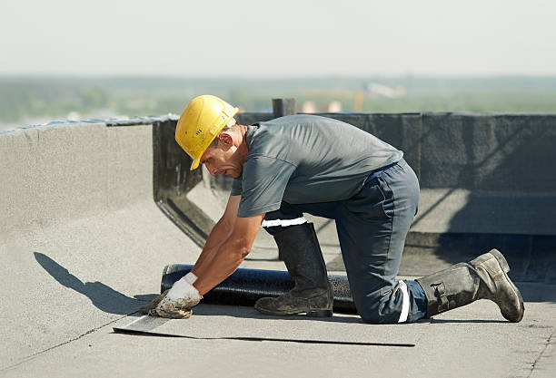 Best Blown-in Insulation in Ventress, LA