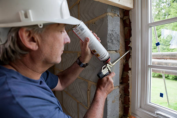 Best Geographic-Specific Insulation Services in Ventress, LA